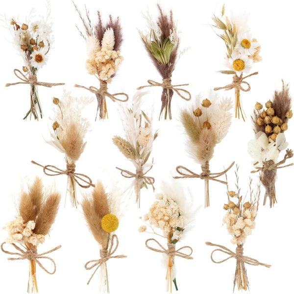 Mini pampas grass bouquets with stems (Boho-style decor)