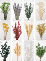 Assorted 3D dried flower bouquets for home, wedding, and floral arrangements