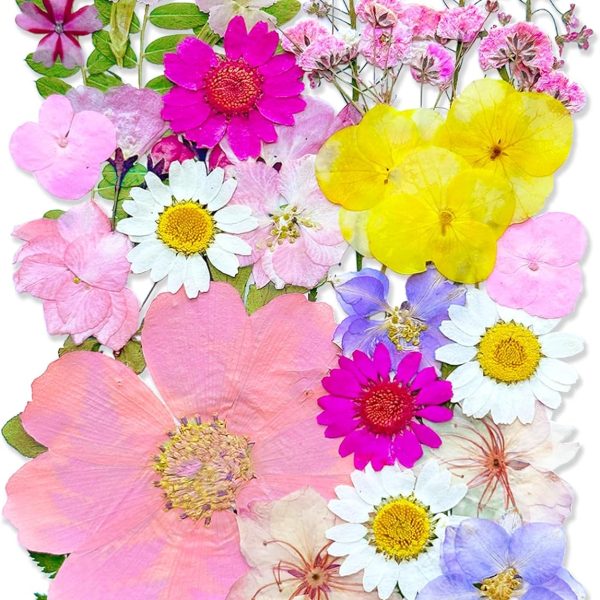 Pink-toned mixed pressed dried flowers for resin crafts