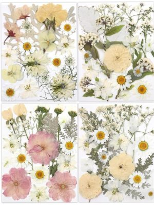 Macaron-toned (pink, yellow, white) pressed dried flower set with tweezers
