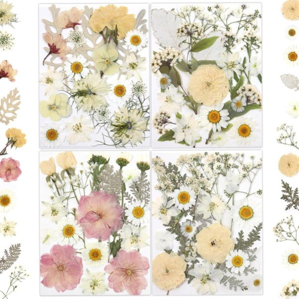 Macaron-toned (pink, yellow, white) pressed dried flower set with tweezers