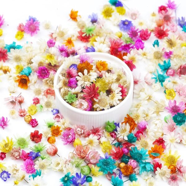 Mini loose dried flowers for resin crafting