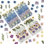 Ombré hydrangea pressed dried flowers with tweezers for crafts