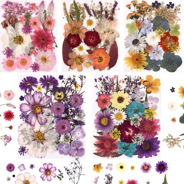 Assorted natural pressed dried flowers and leaves with tweezers (DIY craft materials)