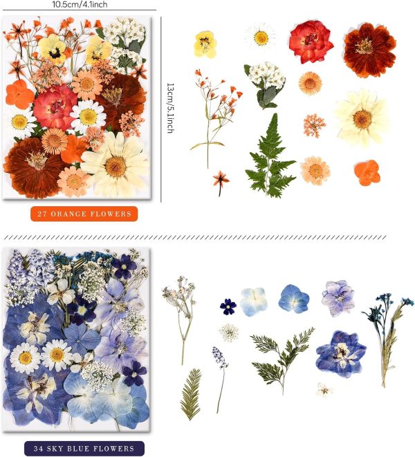 Colorful pressed dried flowers and leaves for resin crafts and decoration