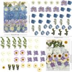 Ombré hydrangea pressed dried flowers with tweezers for crafts