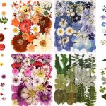 Colorful pressed dried flowers and leaves for resin crafts and decoration