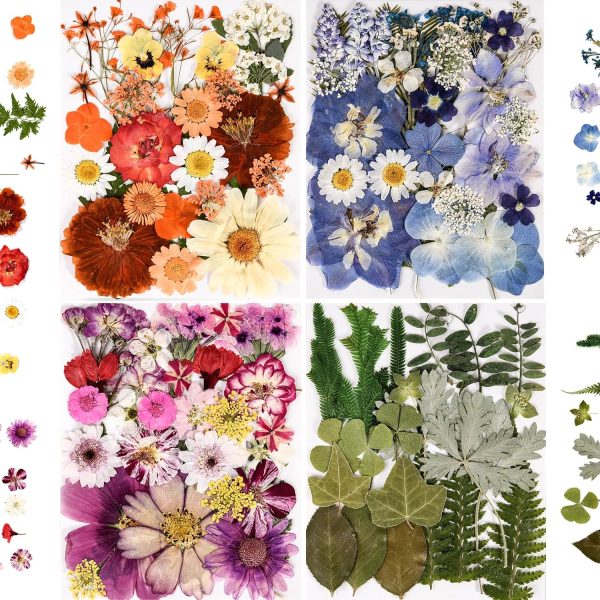 Colorful pressed dried flowers and leaves for resin crafts and decoration